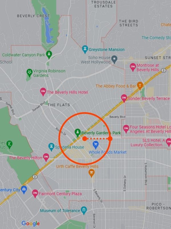 google map and some radius