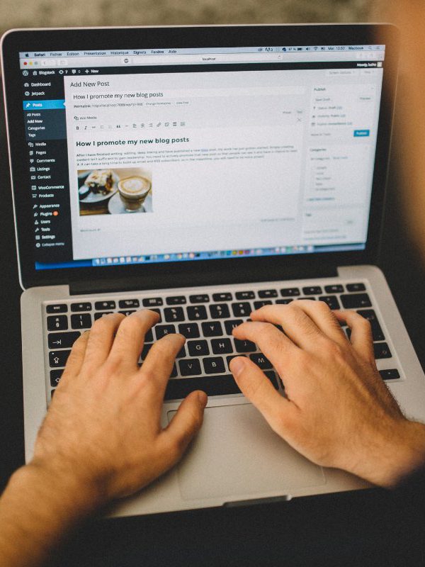 custom wordpress website design