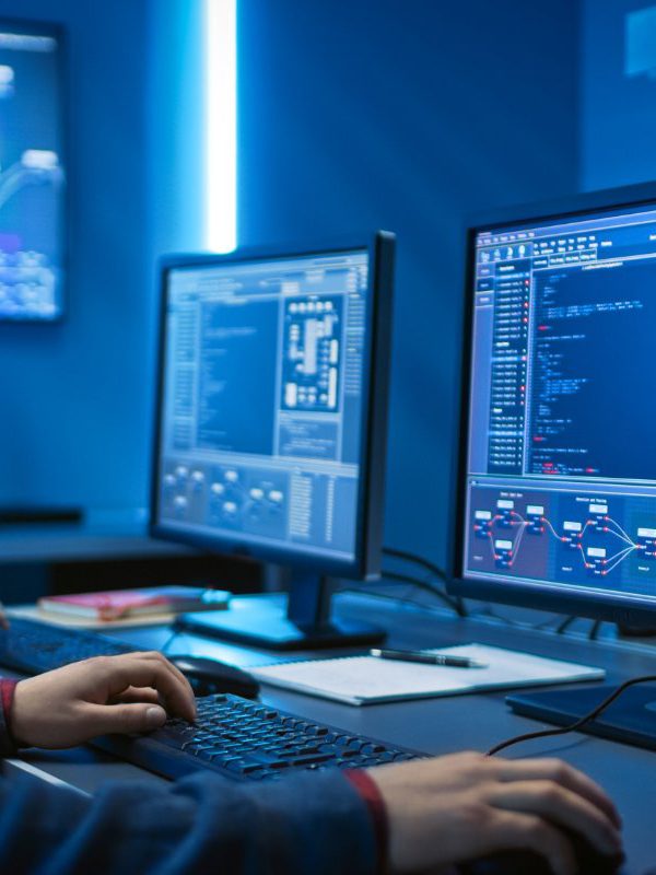 internal website security