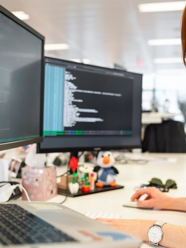 white label web development services